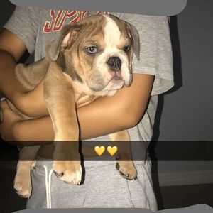 Meet your Posher, Victoria